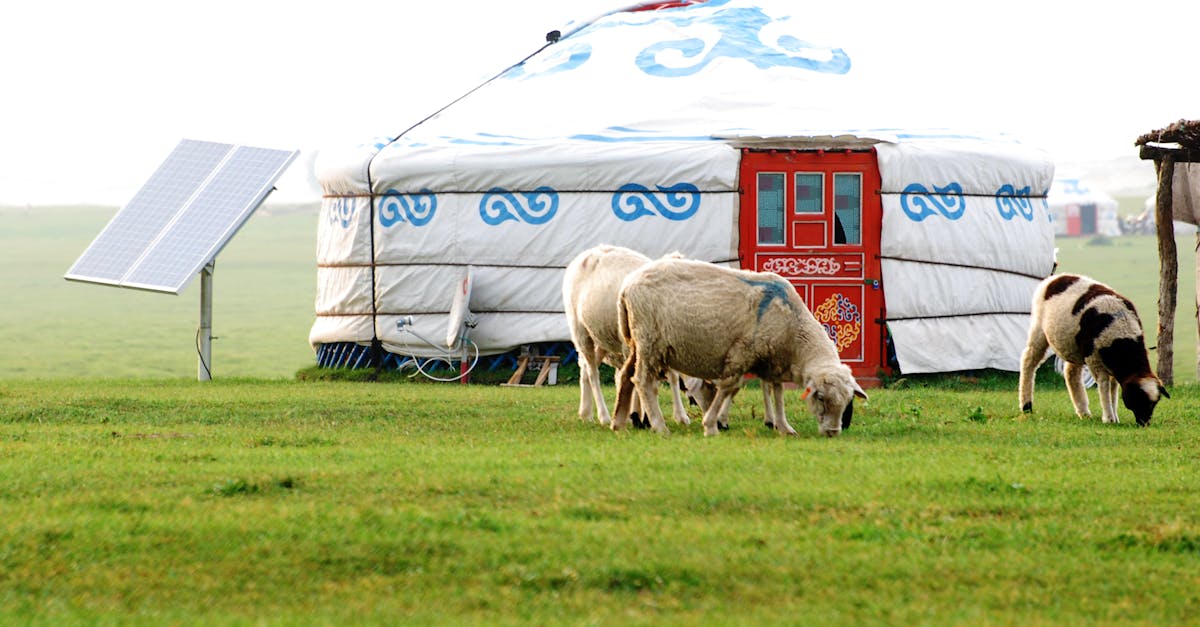 découvrez des alternatives innovantes et efficaces pour répondre à vos besoins. explorez des options variées qui améliorent votre quotidien, que ce soit dans le domaine des produits, des services ou des solutions écologiques.