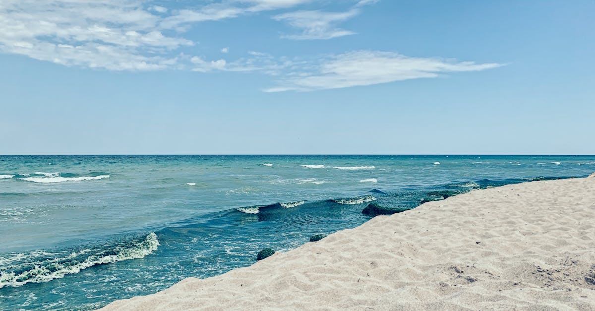 découvrez comment optimiser vos taux de conversion grâce à des appels à l'action (cta) efficaces. apprenez les meilleures pratiques pour capter l'attention de vos visiteurs et les inciter à agir.