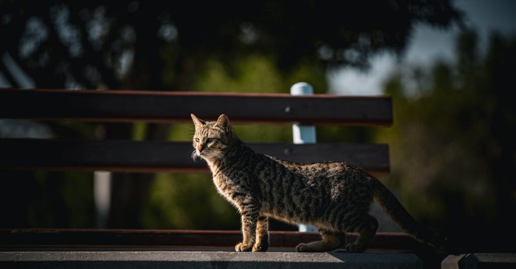 découvrez les meilleures alternatives gratuites à photoshop pour l'édition et la retouche d'images. explorez des outils performants qui offrent des fonctionnalités similaires sans frais, et libérez votre créativité sans vous ruiner.