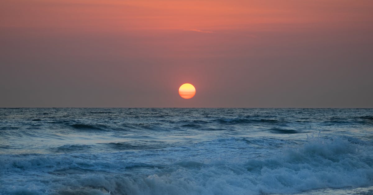 découvrez les meilleures alternatives gratuites à photoshop pour retoucher vos images et créer des designs impressionnants sans débourser un centime. parfaites pour les amateurs et les professionnels, explorez ces outils puissants et faciles à utiliser.