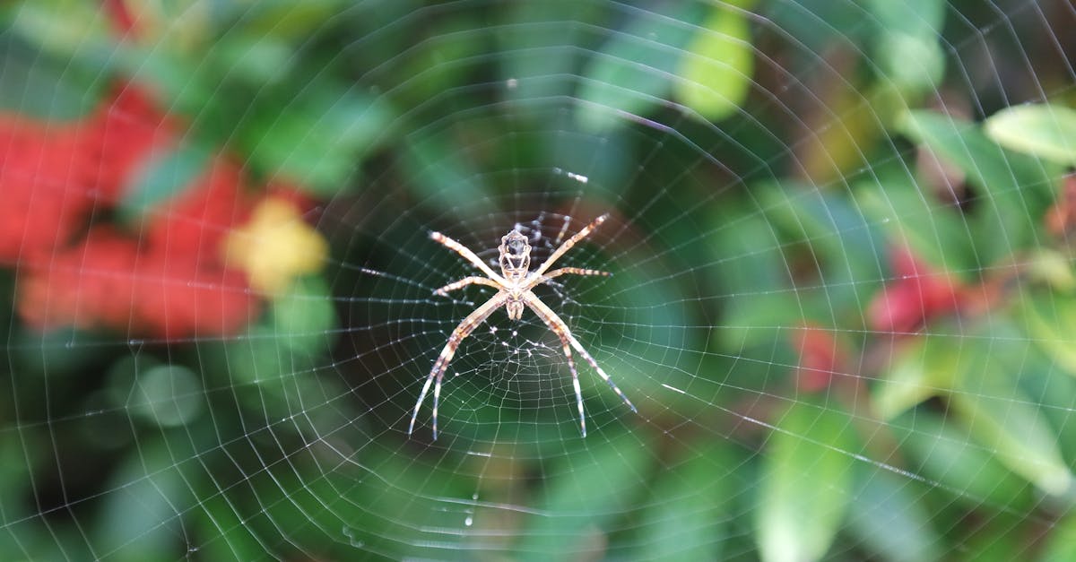 découvrez nos solutions d'hébergement web fiables et performantes. que vous soyez un particulier ou une entreprise, nous offrons des options d'hébergement adaptées à vos besoins, avec un support client 24/7 et une sécurité optimale pour garantir la disponibilité de votre site.